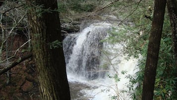 Une cascade située dans une zone boisée.