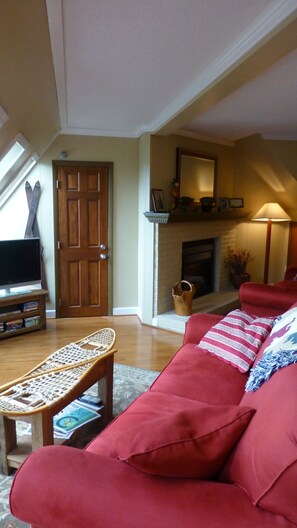 TV, fireplace, DVD player, music library