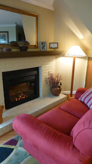 TV, peis, DVD-spiller og musikkbibliotek