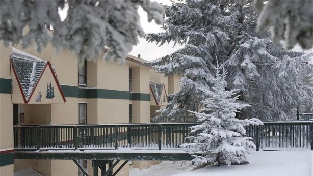 A snow-covered outdoor area with a building featuring a green stripe and a triangular sign with a rabbit and tree. - Best Deal in Almost Heaven!! (Snowshoe)