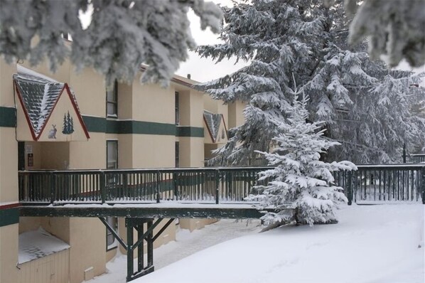 Stunning building with a symmetrical facade and flat roof, surrounded by snow-covered trees.