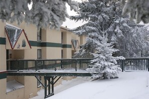 Un área exterior cubierta de nieve con un edificio que tiene una franja verde y un letrero triangular con un conejo y un árbol.