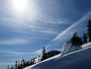 View from room - Kagura White Horse Inn (Yuzawa)