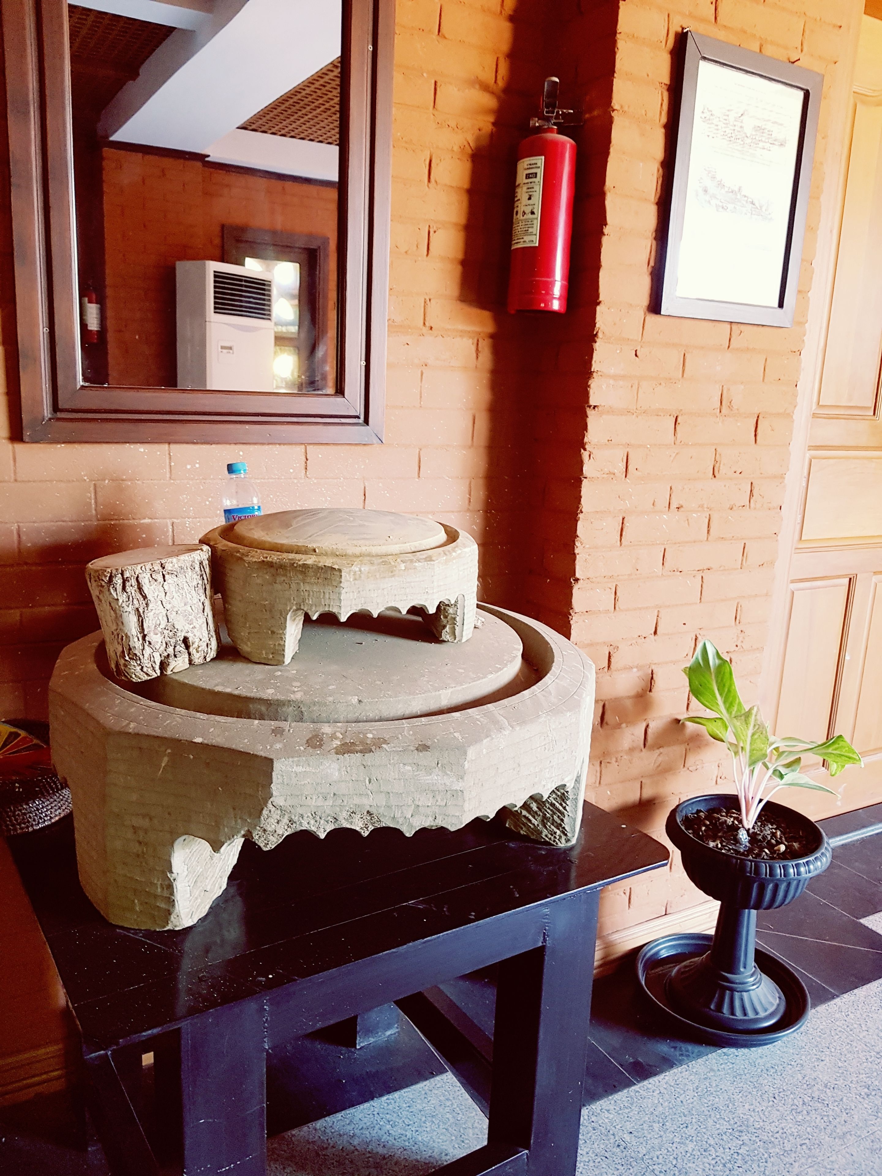 shower, free toiletries, hair dryer, slippers