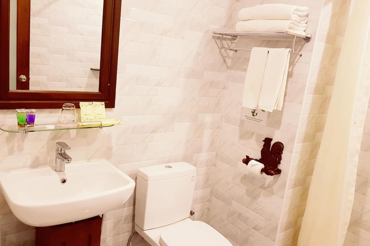 shower, free toiletries, hair dryer, slippers