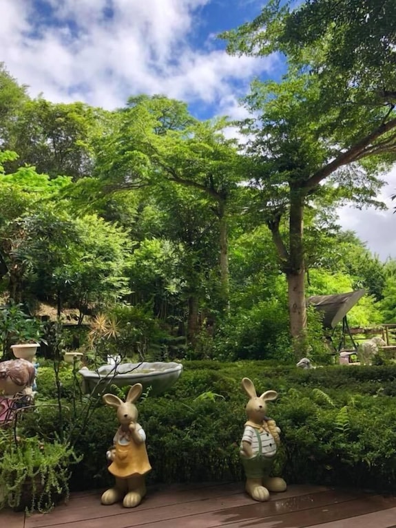 星空愛玉評價、特色體驗、房價資訊、訂房連結 – 山林秘境民宿 - 照片 19