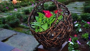 Un panier en osier, orné de feuilles vertes et de fleurs roses, est posé sur un support en bois dans un jardin. On aperçoit en arrière-plan un bâtiment en bois.