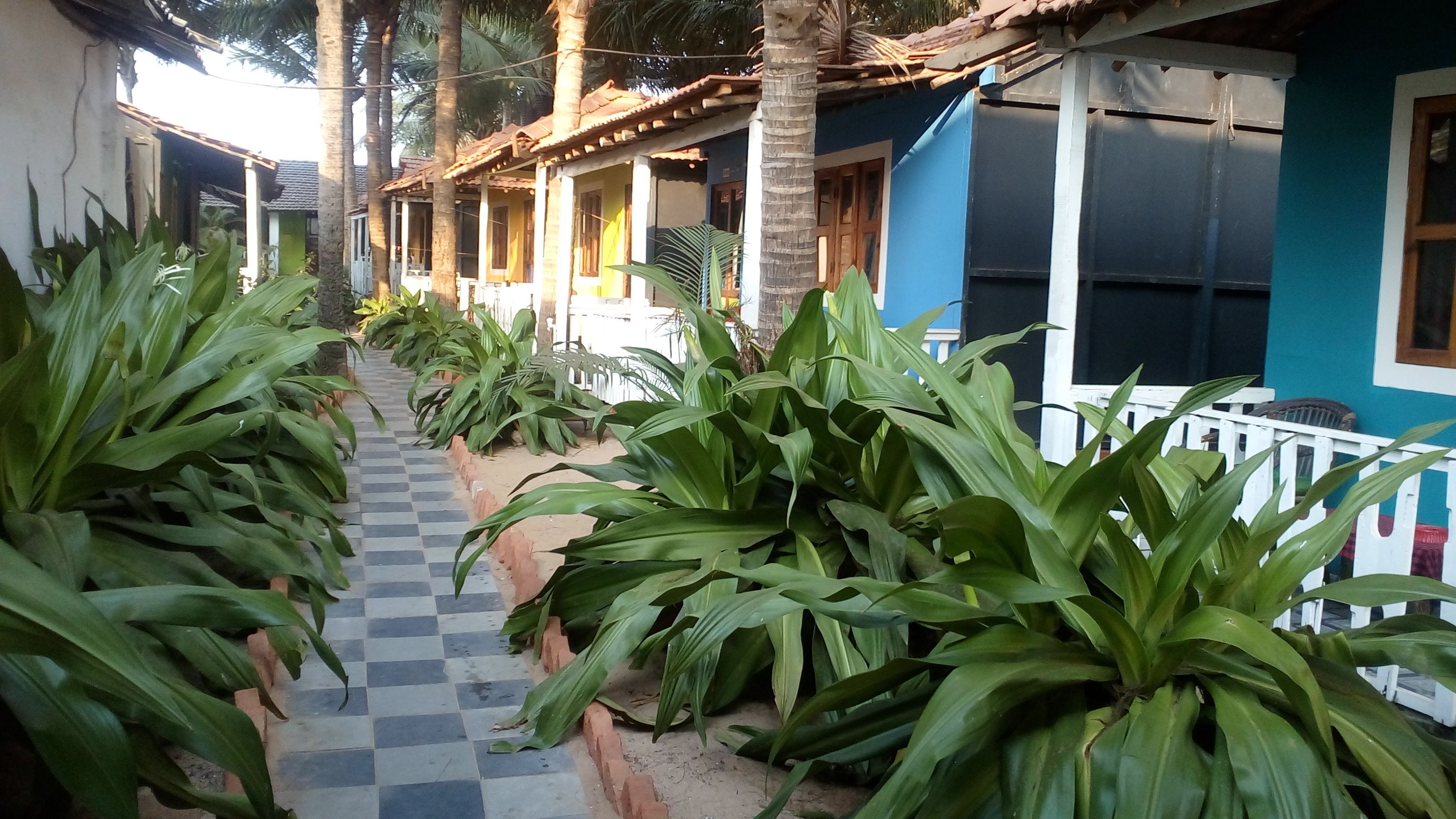 A corridor lined with large green plants, leading to a row of blue and white buildings with a tiled floor.