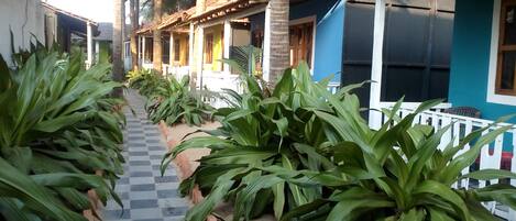 A corridor lined with large green plants, leading to a row of blue and white buildings with a tiled floor.
