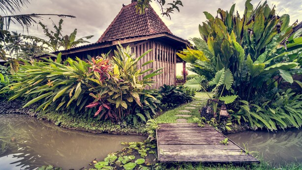 A rustic wooden house with a tiled roof, surrounded by lush tropical vegetation and a small water body. - Dragonfly Village (Ubud)