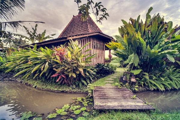 Garden - Dragonfly Village (Ubud)