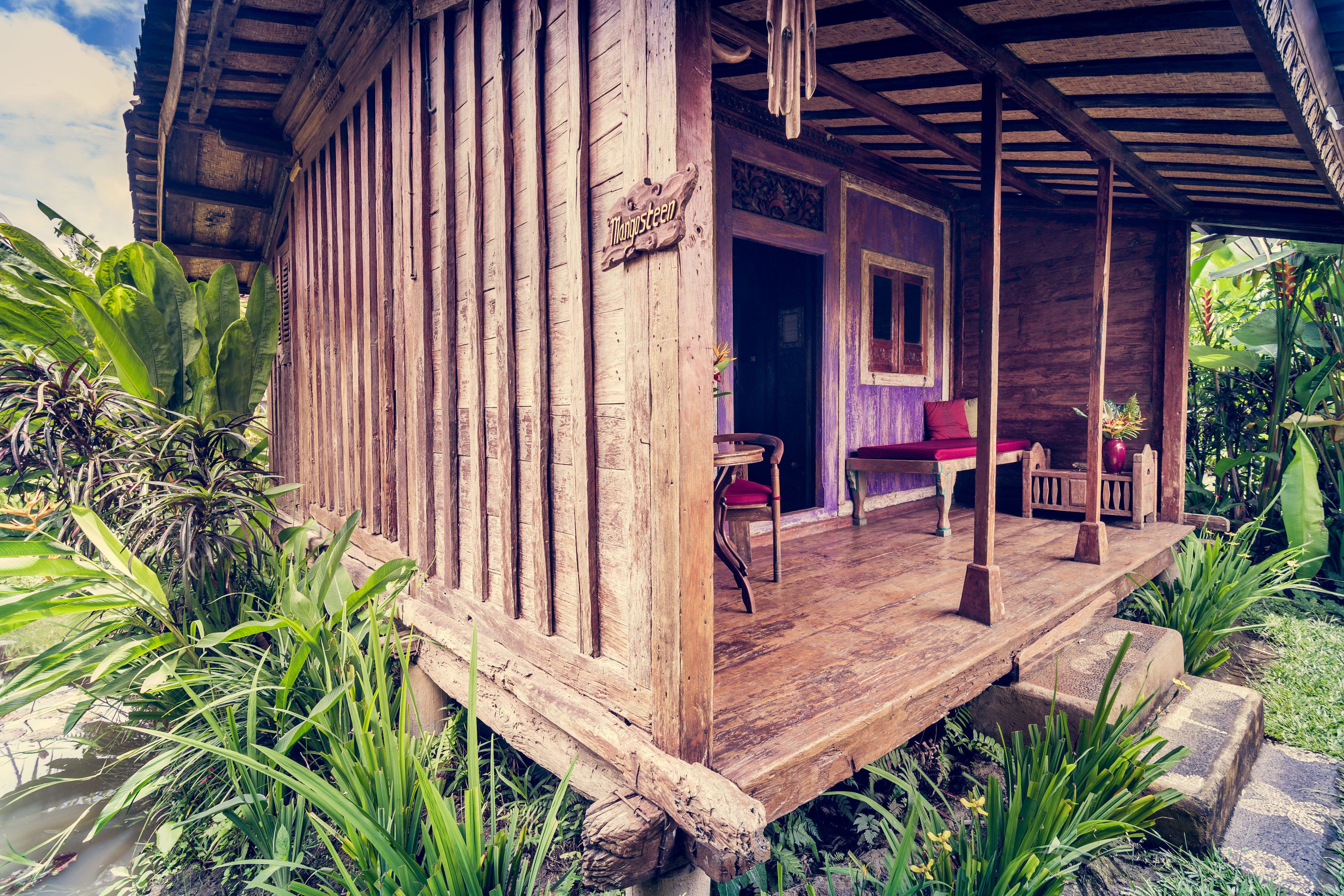 Foto - Dragonfly Village