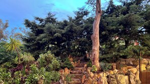 A naturalistic garden with a stone pathway leading through various plants and trees.