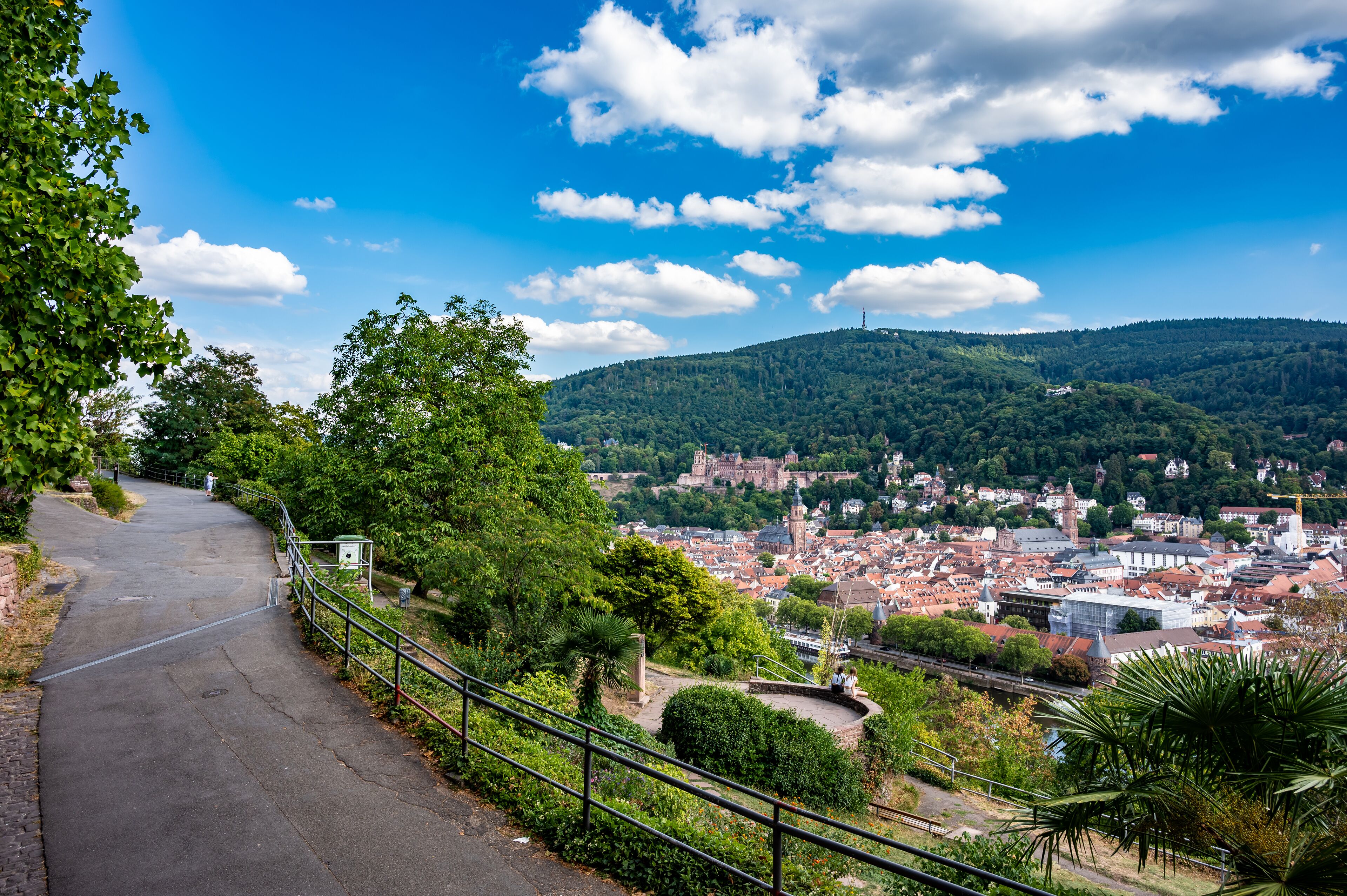 A paved pathway with a metal railing, surrounded by lush greenery and trees.