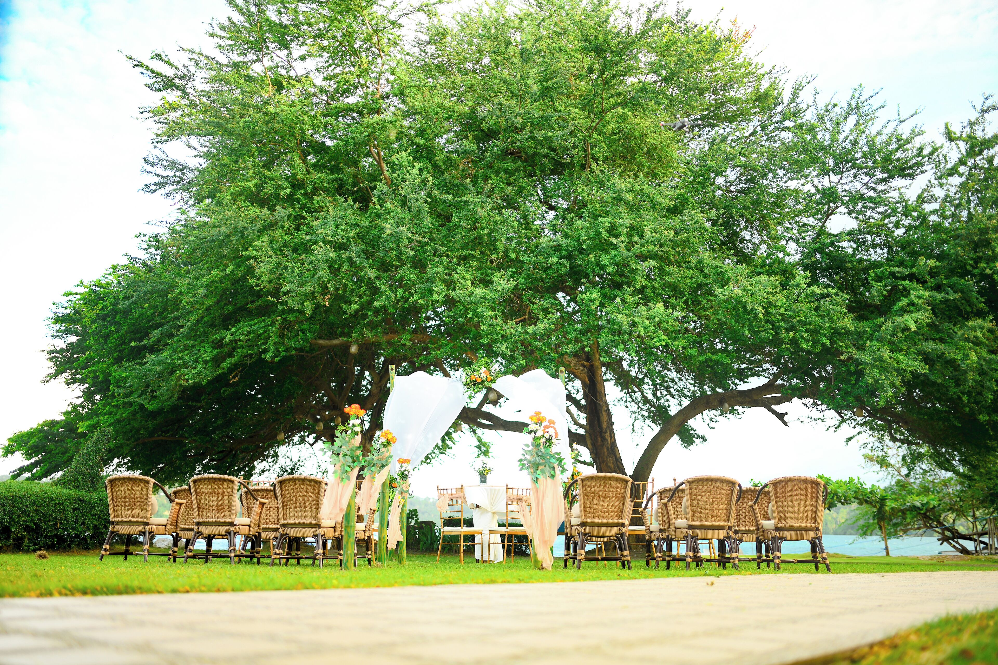 Un área de estar al aire libre con sillas de mimbre y una mesa bajo un árbol grande.