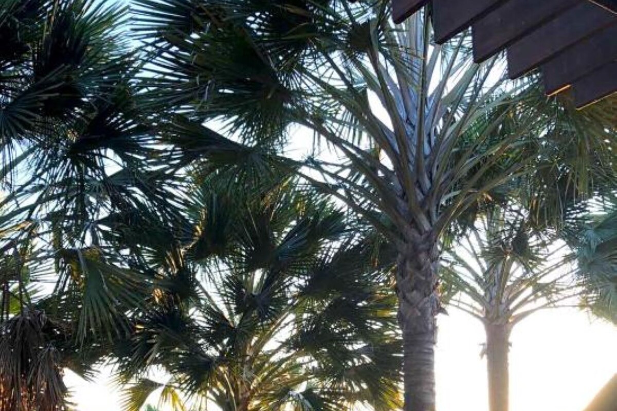 A wicker chair with a cushion on a wooden deck, surrounded by a bamboo fence and palm trees.