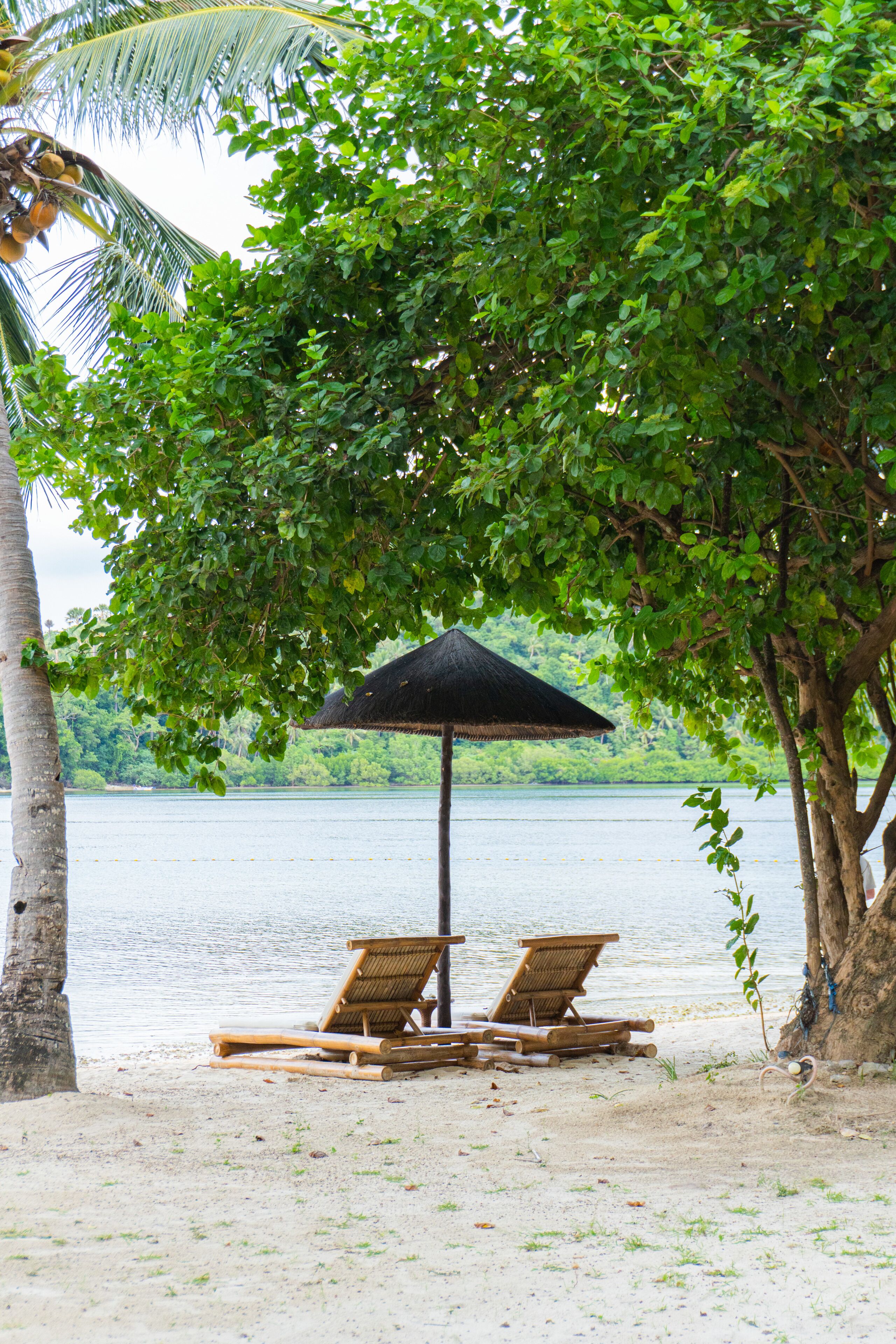 A beach with two wooden lounge chairs under a thatched umbrella, a palm tree, and a view of a calm lake.