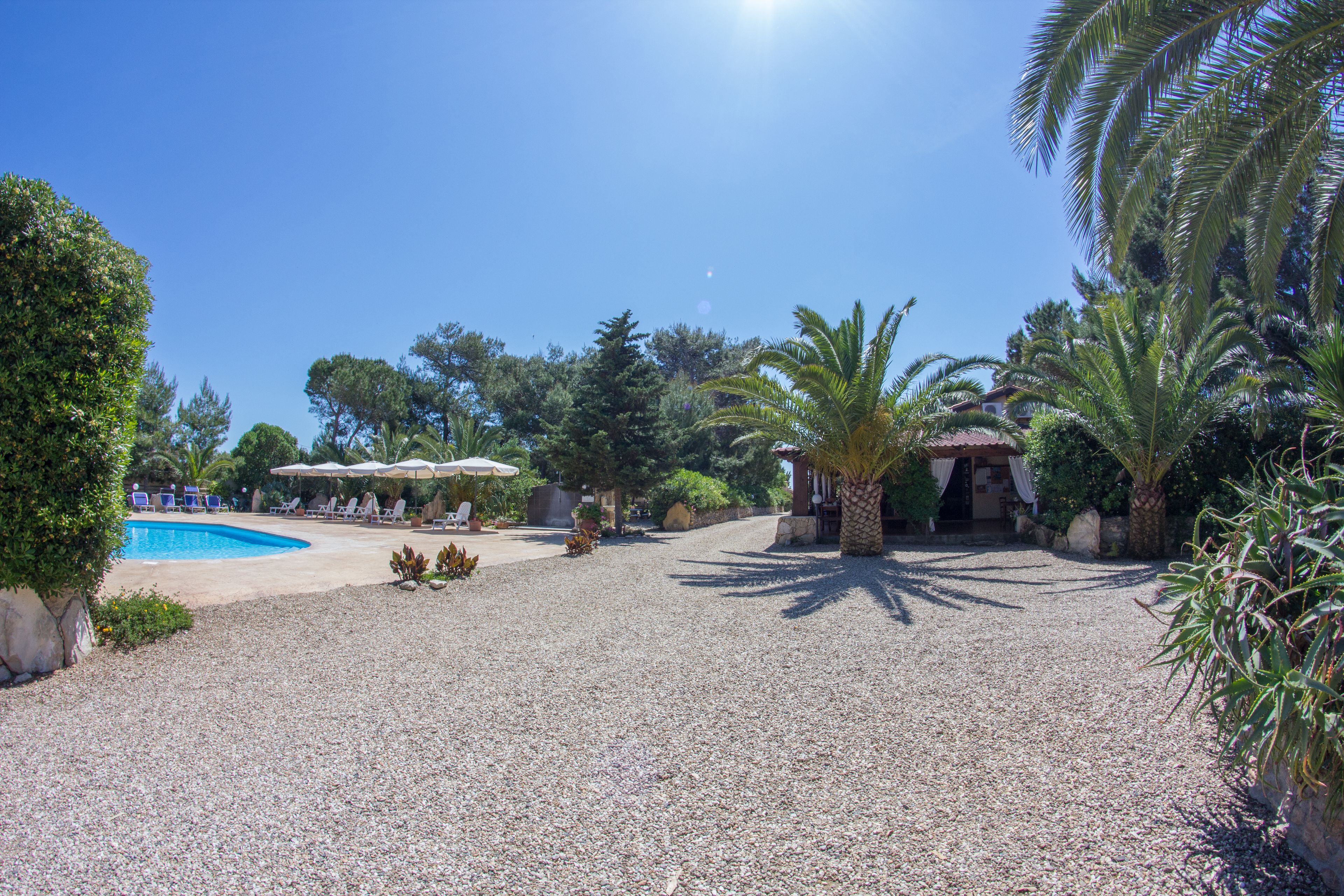 A pool area with lounge chairs and umbrellas, surrounded by palm trees and a clear sky.