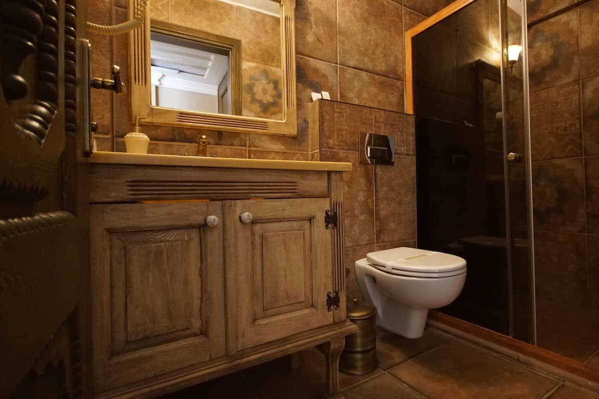 Shower, free toiletries, hair dryer, slippers