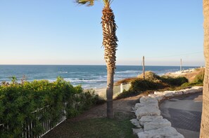 Vista costera con palmera, sendero de piedra y valla blanca.