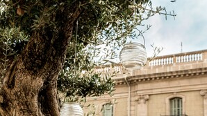 A tree with hanging glass lanterns and a building with balconies in the background. - Hotel Oasis (Barcelona)