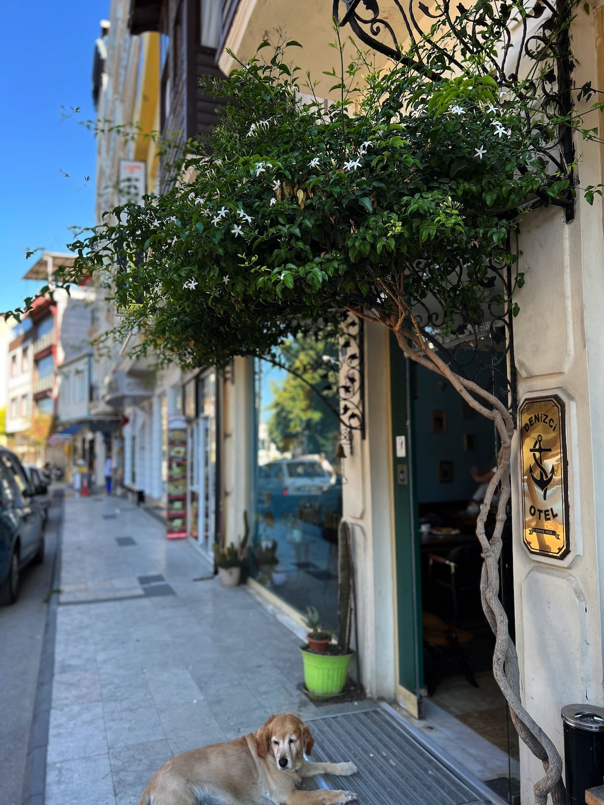 Denizci Hotel — Sinop Merkez tesis fotoğrafı