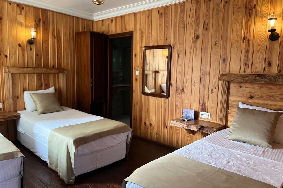 standard triple room | 1 bedroom, desk, iron/ironing board, free wifi