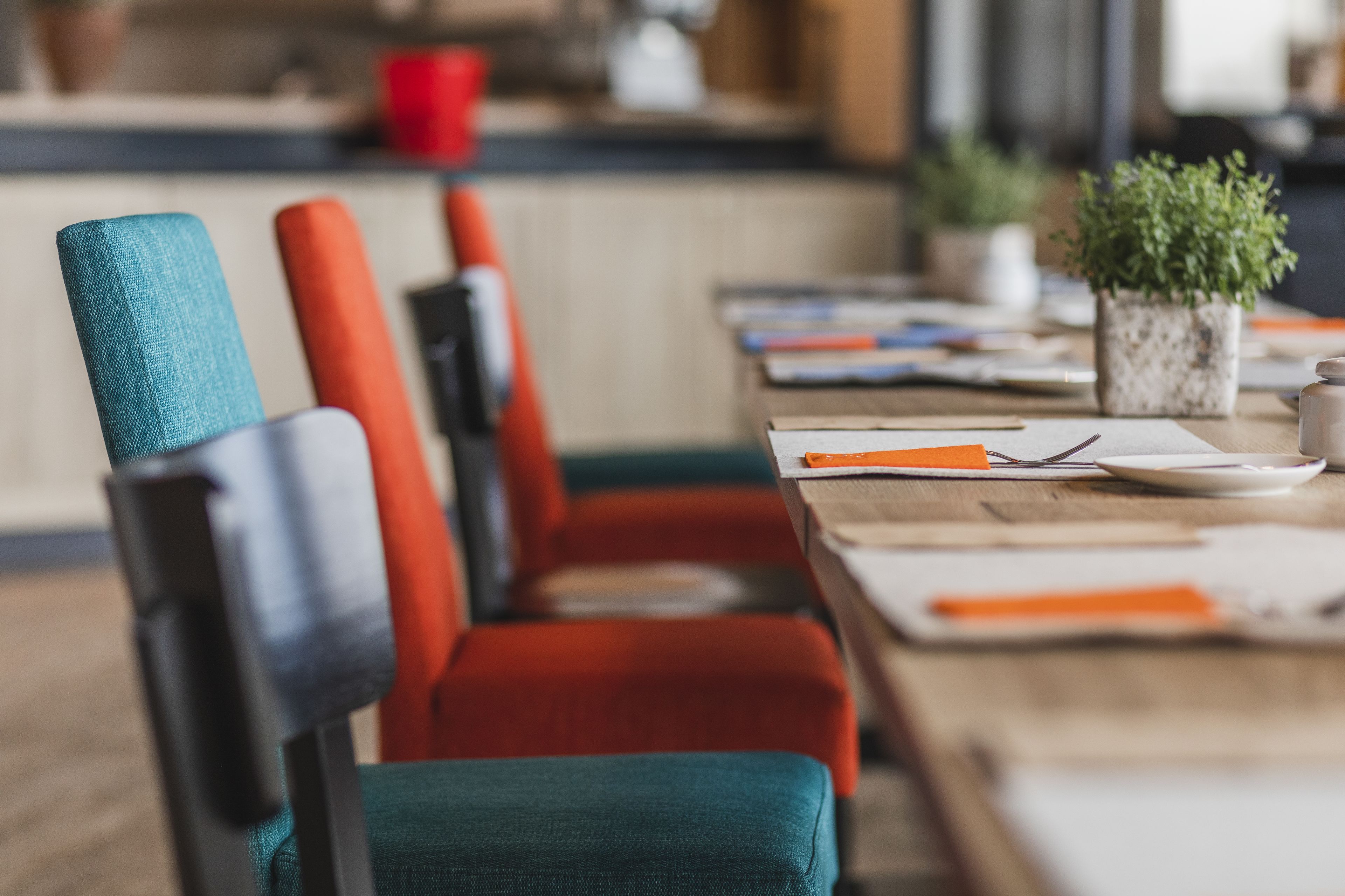 A dining area with red and teal upholstered chairs, a wooden table with a potted plant, and a blurred background suggesting a cozy interior setting.