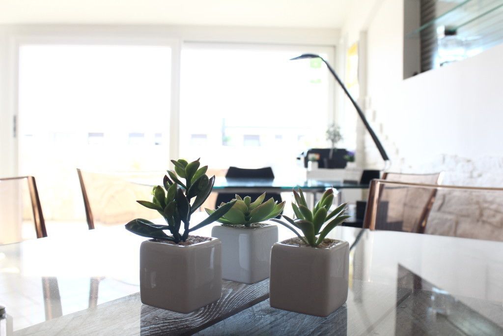 A dining table with three potted plants in the center.