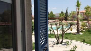 Superior Room | View from room