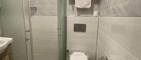 A bathroom with a glass shower enclosure, a toilet, and a sink.