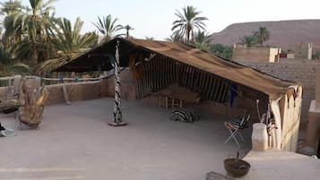 Terras