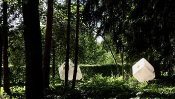 A forested area with two large, white, cube-shaped objects.
