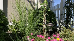 A garden with various plants and flowers, a white picket fence, and a lamp post. - Rooms in Family House in Salem Boston (Saugus)