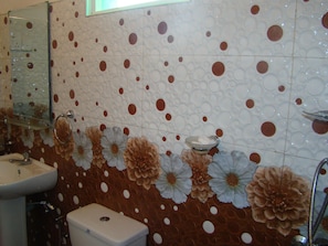 Shower, free toiletries, towels