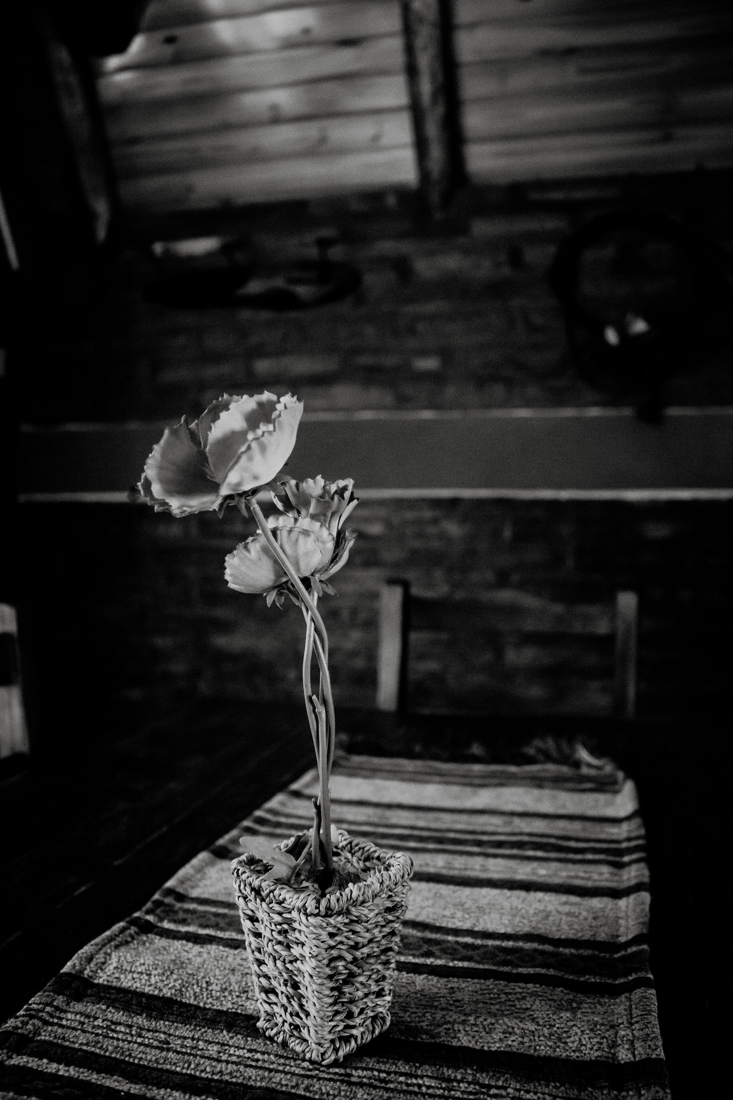 A black and white photo of a potted plant with three flowers on a striped rug in a rustic setting.