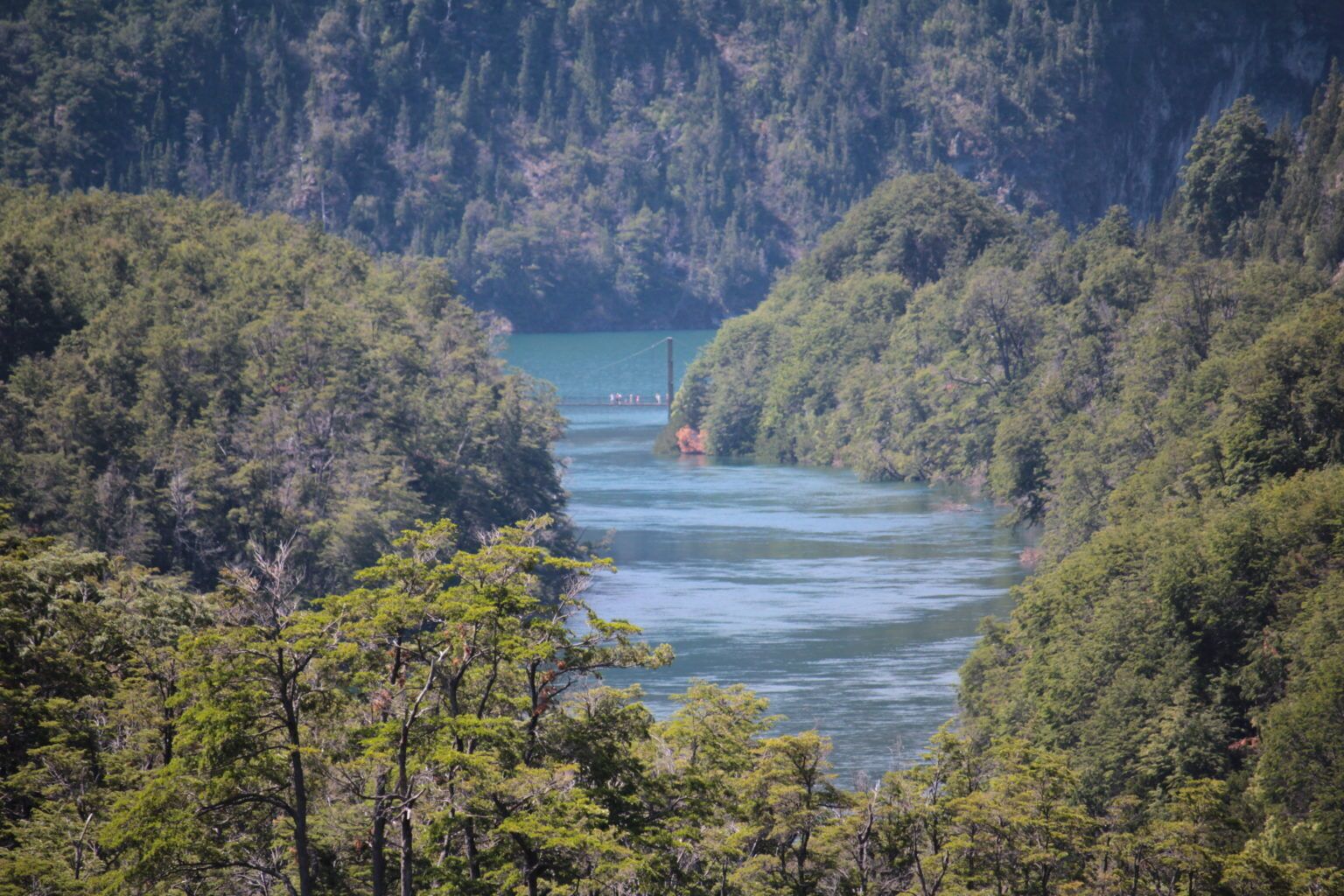 A river surrounded by dense forest.