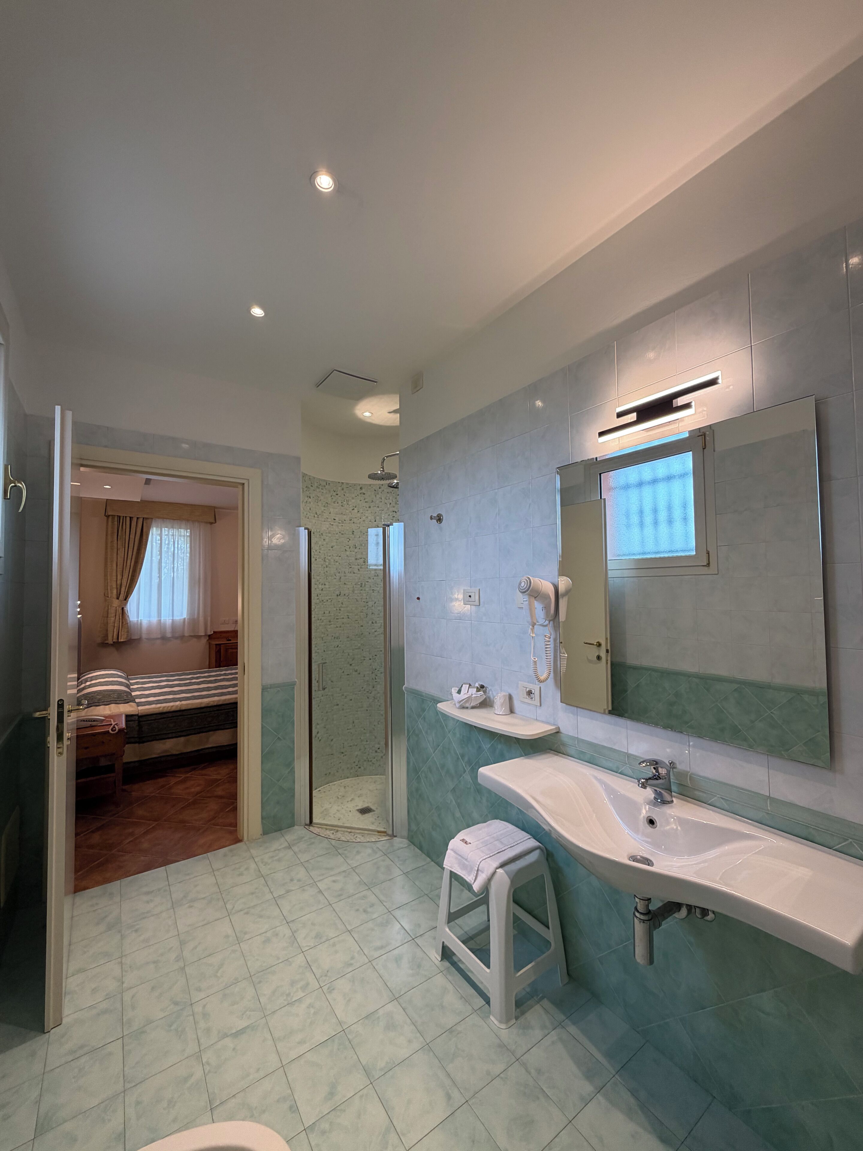 A bathroom with a shower, toilet, sink, and a bed in the adjacent room.