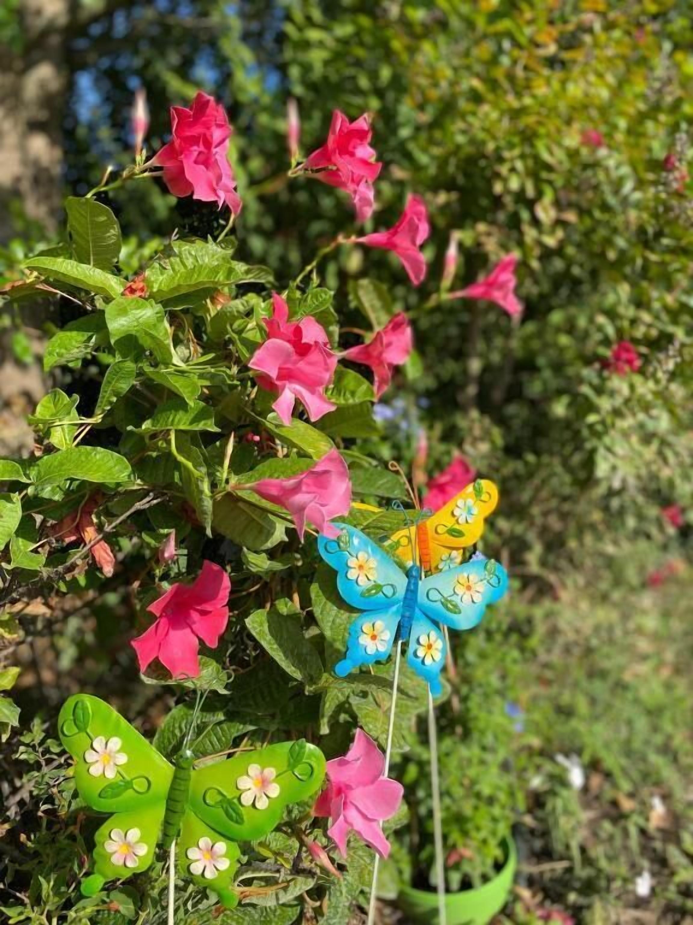 A garden with pink flowers and decorative butterflies.