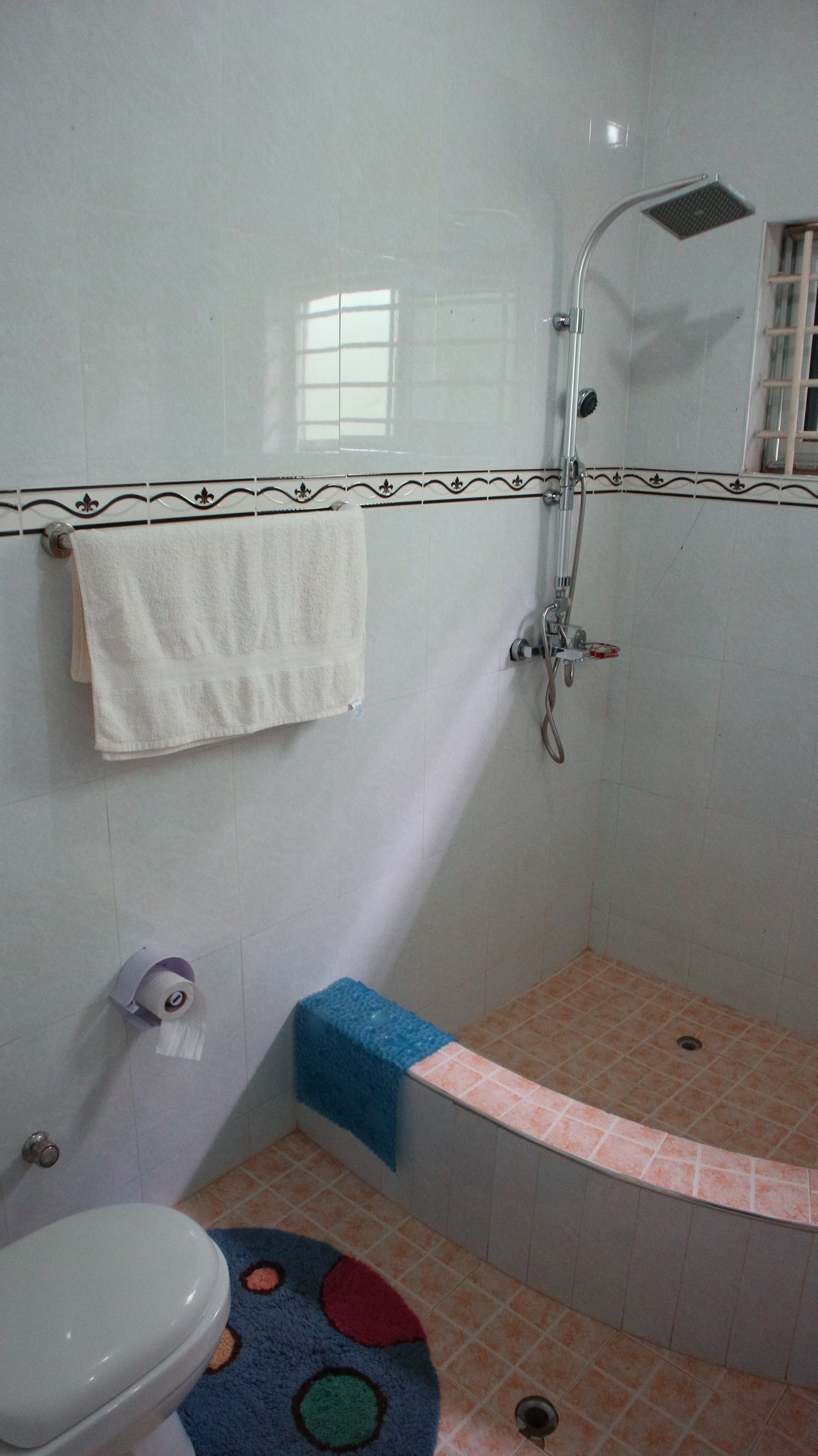 A bathroom with a shower, toilet, and a towel rack.