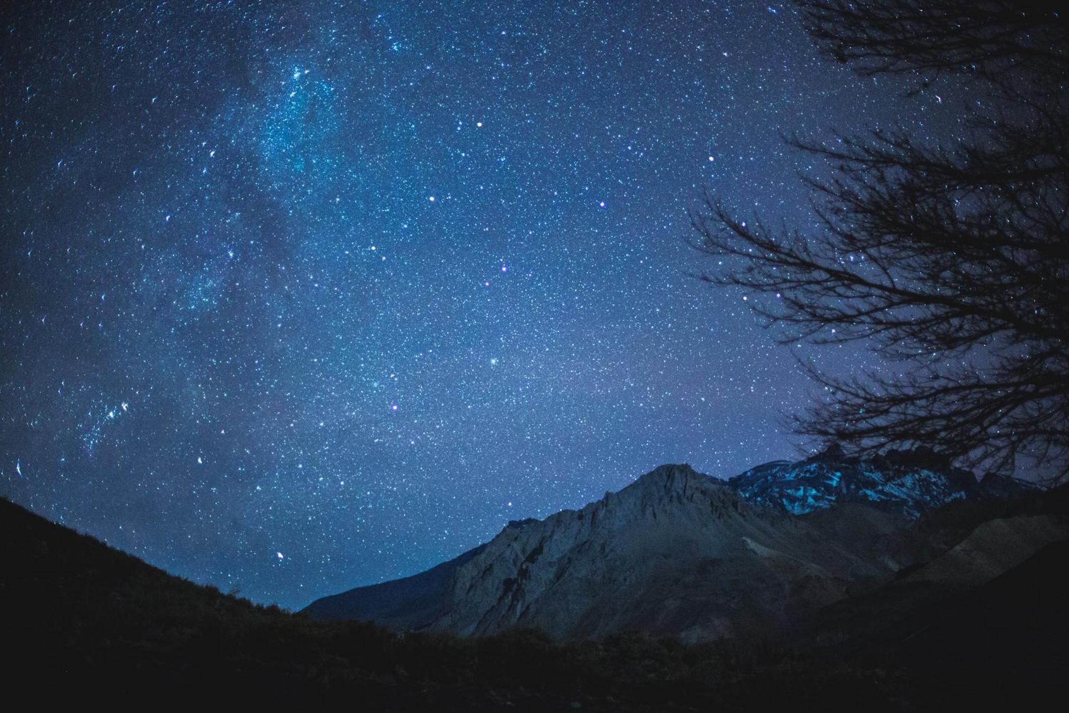 Foto - Azalea Luxury Lodge