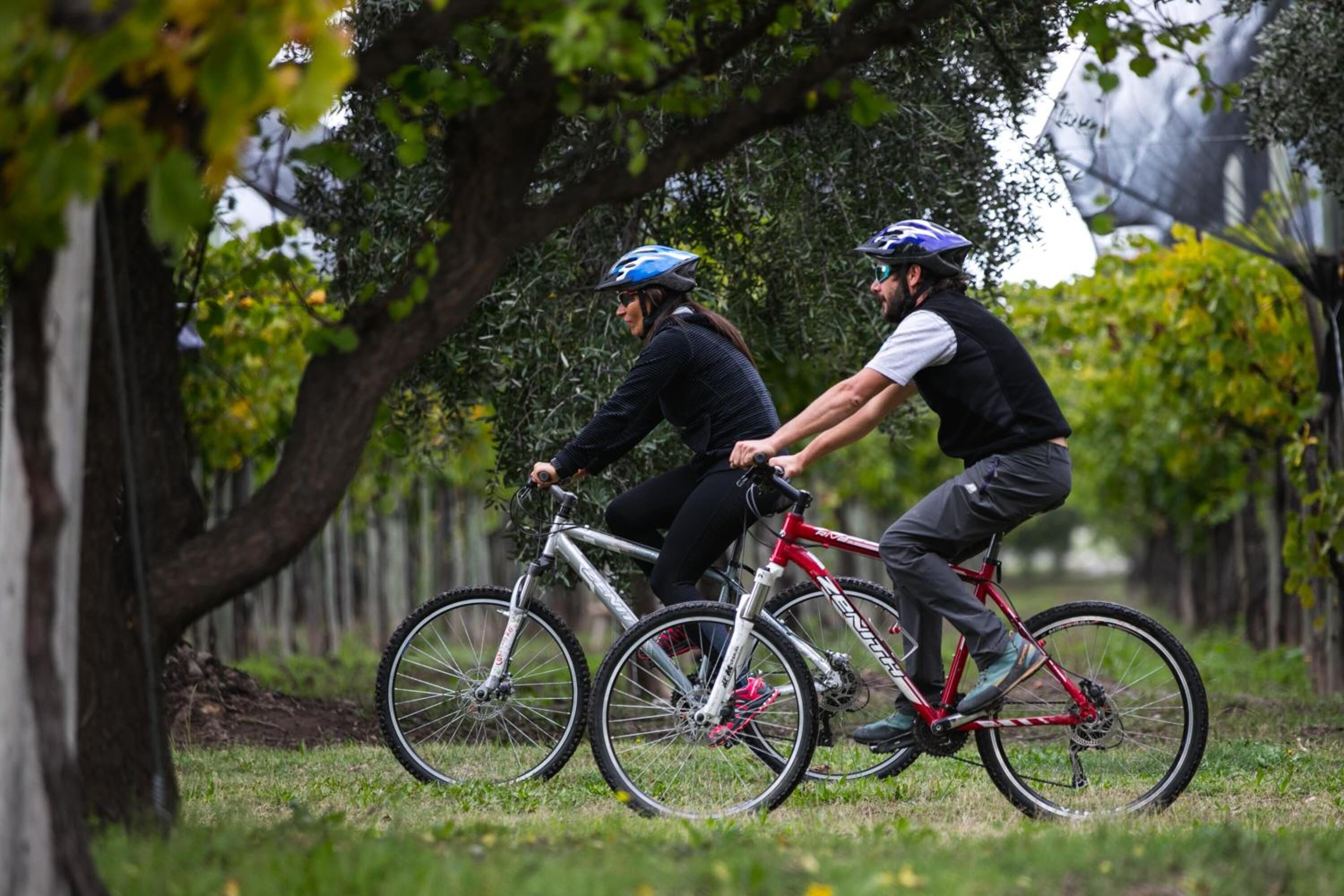 Foto - Azalea Luxury Lodge