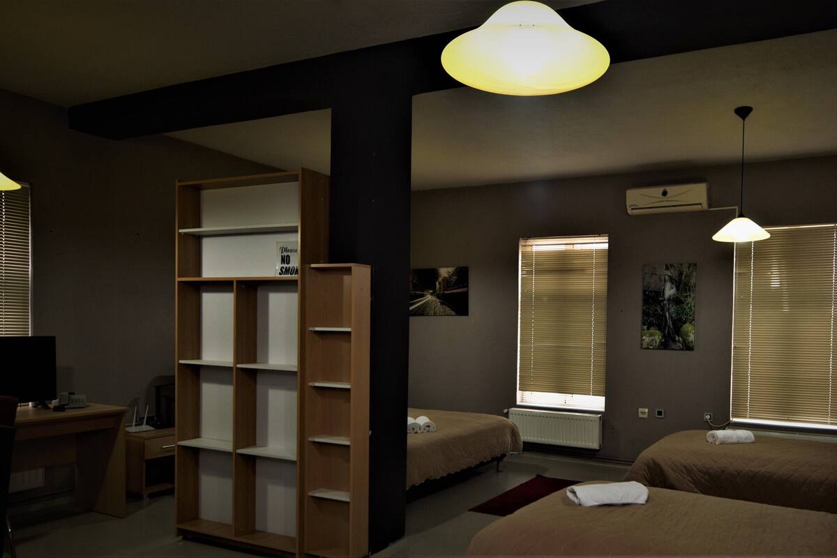 Habitación de hotel con dos camas, un escritorio, una estantería y un televisor.