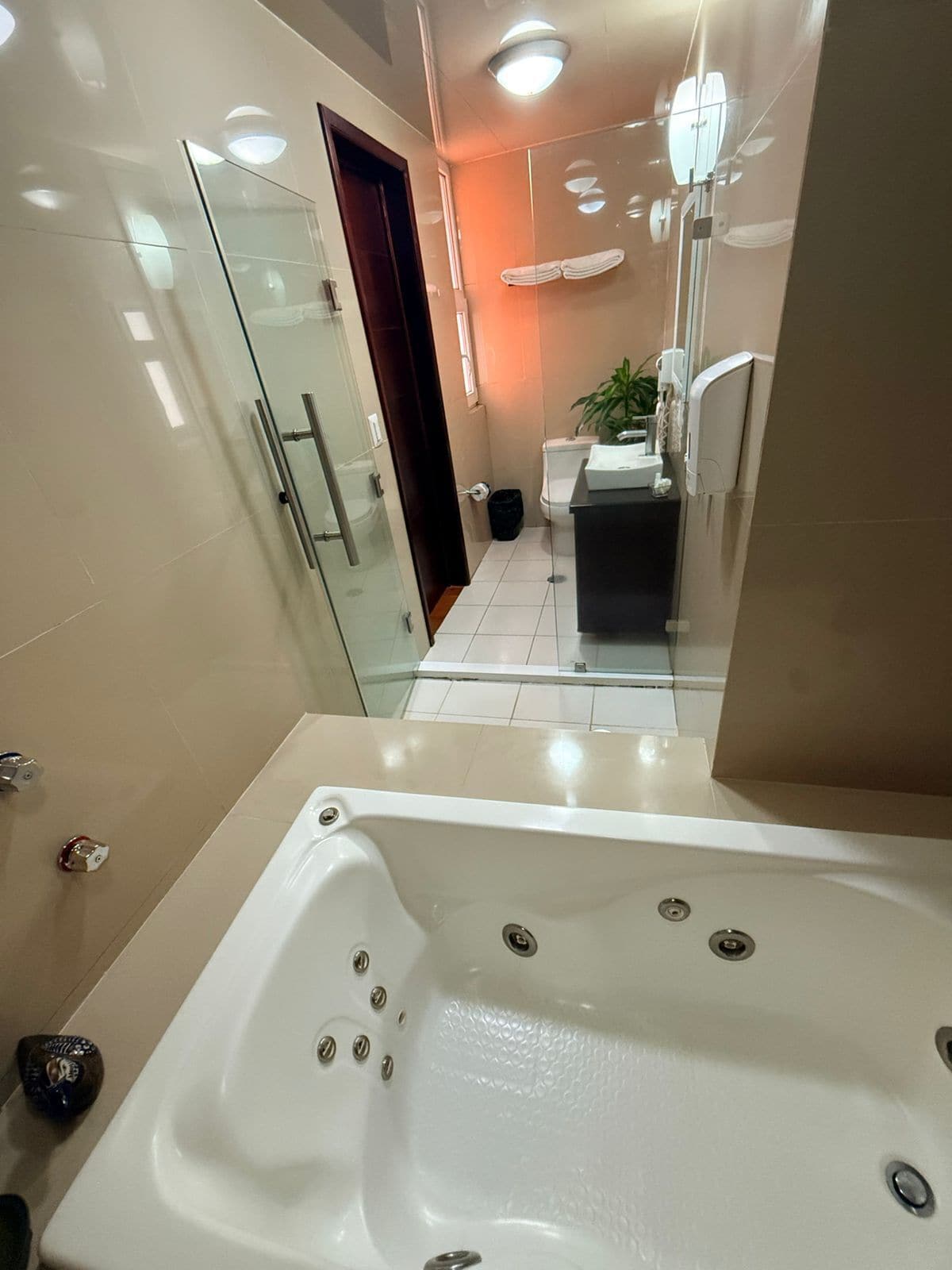 Un baño moderno con ducha envuelta en vidrio, una bañera blanca y un inodoro a la vista.