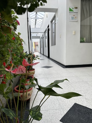 Hallway - Hotel Royal Suite (Manizales)