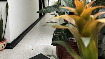 Vestibule