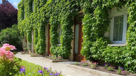 Property grounds. Le Beaugency