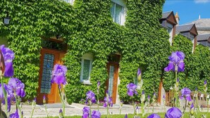 Une maison aux murs recouverts de lierre et un jardin où poussent des fleurs violettes.