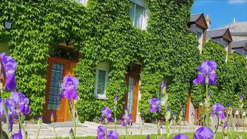 Une maison aux murs recouverts de lierre et un jardin où poussent des fleurs violettes.