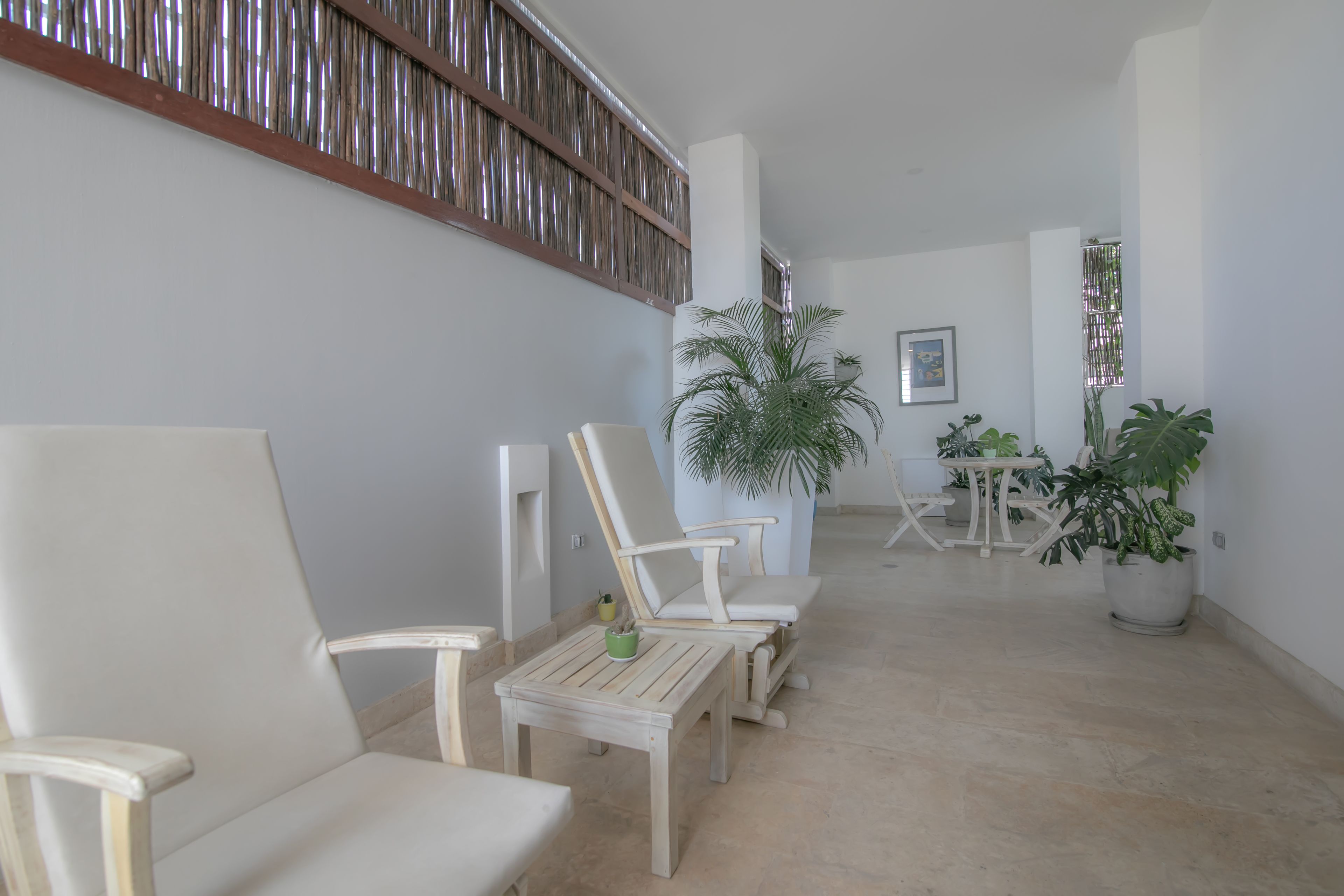 Photo - El Cactus Luxury Apartments in Historic Center